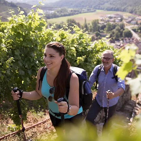 Moderne Umgeben Von Weinbergen