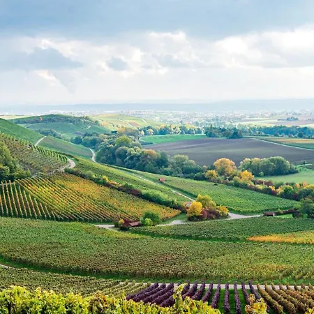 Appartement Moderne Umgeben Von Weinbergen Eppingen
