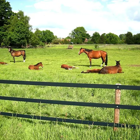Moderne Umgeben Von Weinbergen Appartement Eppingen