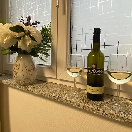 Moderne Umgeben Von Weinbergen Apartmán Eppingen