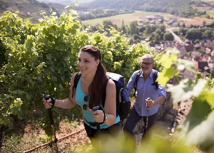 Moderne Umgeben Von Weinbergen