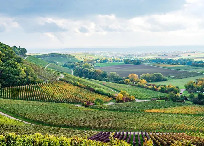 Appartement Moderne Umgeben Von Weinbergen Eppingen